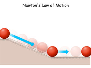 newton's law worksheet